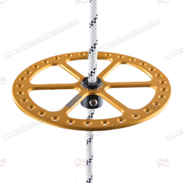 2BFREE Gold Bottom Plate
